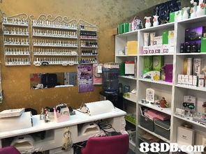 2020香港市广场厨具卫具及日用杂品零售价格与商户资讯指南