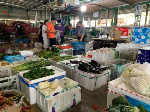 民生商品储备充足 市民生活保障无忧